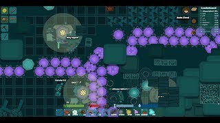 Starve.io: ?346k Legacy High Score?100k Tomatoes?3v1?