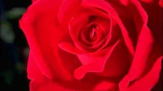 Tin-Hungh zeix biangh gengh nzueic