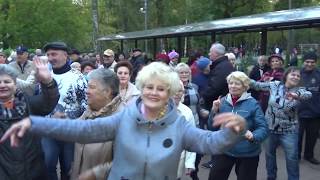 Юрий Деденёв - Асса * Хитяра 100 % *  ( Сл и муз: Юрий Деденёв )