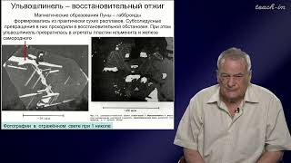 Спиридонов Э. М. -Генетическая минералогия-31.Распад твердых растворов с изменением валового состава