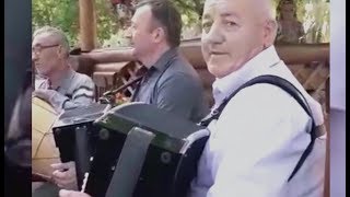 ЭТУ ЧЕЧЕНСКУЮ ПЕСНЮ ОБОЖАЮТ ВСЕ ГРУЗИНЫ...