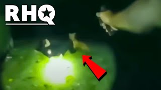 Watch Cop Shoot And Miss, Then Hit His Partner