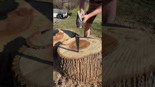 $100 Splitting Wedge ???? ???? #firewood #axe