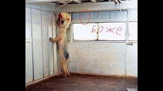 Обзор аддонов Gmod 13 "SCP-096 и ему подобные"