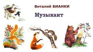 В.Бианки "Музыкант" - Рассказы и сказки Бианки - Слушать