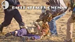 WHEN ANIMALS ATTACK HUMANS EAGLE VS MEN
