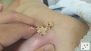 ТОП 10 ОТВРАТИТЕЛЬНЫХ ВИДЕО ?