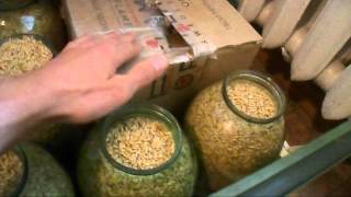 # 65 - Обзор моего быта. Минимализм доведенный до абсурда