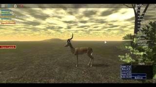 [Roblox: Wild Savannah] Impala jousting!