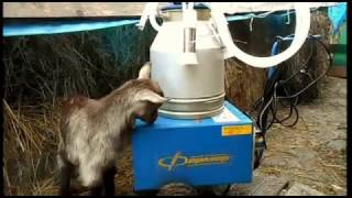 Доильный аппарат АД.02"Фермер"/milking machine/Melkmaschine