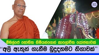 පෙරහැරේ අලි ඇතුන්ට සෝභිත හිමිගෙන් යෝඡනාවක් - Omalpe thero talking about Elephant