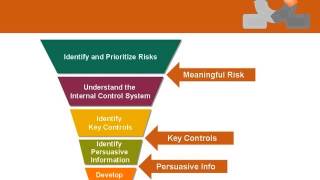 SOFTRAX Webcast: COSO Project 2008 Update - Guidance on Internal Controls [12/18/08]