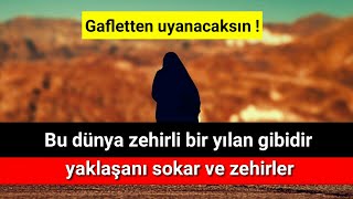 Bu dünya zehirli bir yılan gibidir ibretlik   | Volkan aksoy