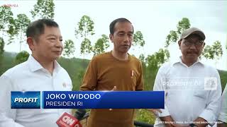 Jokowi: Pembangunan Ibu Kota Nusantara Sudah Dimulai