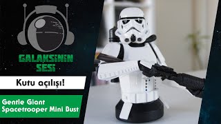 Kutu açılışı #4 - Diamond Select Toys Space Trooper Mini-Bust