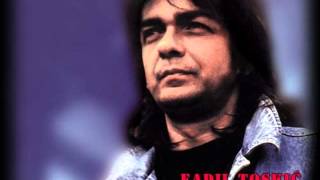 Fadil Toskic - Kapija