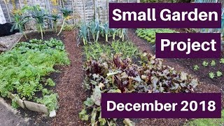 Walk on beds, winter harvests - Small Garden (7) December 2018