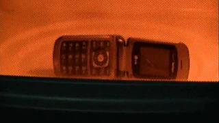 Cell Phone In The Microwave