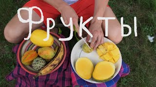 Путешествие в Гану 6. Фрукты Ганы/Ghana trip 6. Fruit