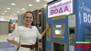 Веселье и задор в ТРЦ "Реутов парк"