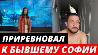 Сожитель Софии Конкиной, убил попугая её дочери Алисы