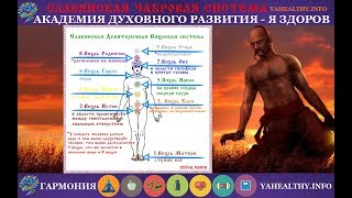 Славянская девятеричная вихревая (чакровая) энергетическая система организма человека