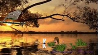 Мелодия природы
