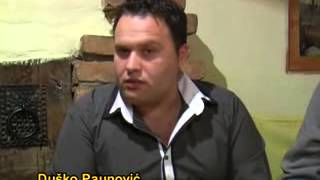 Golubarska slava