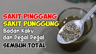 BUKAN RESEP KALENG-KALENG, SAKIT PINGGANG KRONIS MAUPUN AKUT DIJAMIN LANGSUNG SEMBUH 