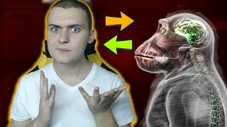 Я ТУПЕЕ ОБЕЗЬЯНЫ!НОВЫЙ ВИРУС ЗАХВАТИЛ МОЮ ГОЛОВУ!