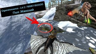 Ark Survive Evolved mobile | Пытаюсь приручить Гигантозавра! | И как его надо томить