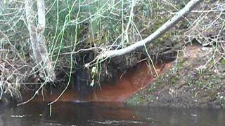 Small waterfall near the house Odini.