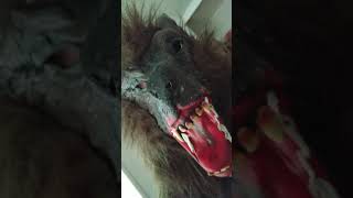 Trying to transform into my true werewolf form