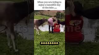 Fail compilation #fail #fails #funny #comedy #laugh #viral #shorts