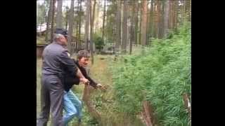 дай дозреть, оставь хоть что-нибудь