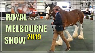 Royal Melbourne Show 2019 - Melbourne Australia Panasonic VXF1