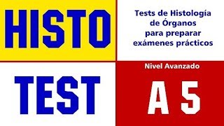 HISTO TEST A5