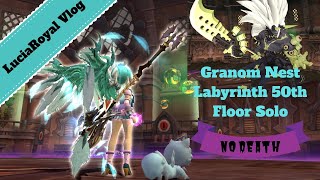 Dragon Nest SEA - Flurry Solo Granom Nest Labyrinth 50th Floor with no death