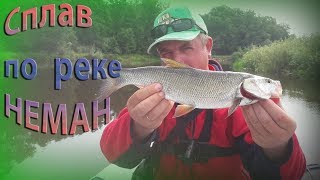 Сплав по Неману. Ловля спиннингом по высокому уровню воды.