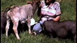 Judy and I trimming a mules feet