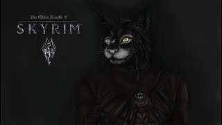 TES V Skyrim Reloaded v3, самая огромная пачка модов #2