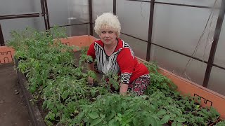 Ответы на вопросы зрителей. 