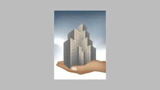 Riyadh Nadhim scheme Ibn Baaz