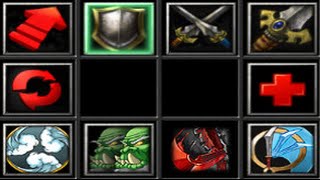 Warcraft 3: Blademaster 10 level