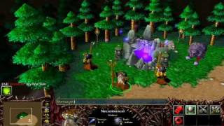 Warcraft 3 - Shamanic Necromancer Skin