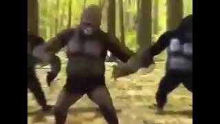 Rip Harambe