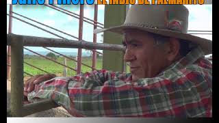 Julio Piñero El sexo y el aguardiente