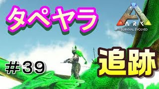 タペヤラのテイム（特殊）【素人ARK Survival Evolved実況Scorched Earth編＃３９】