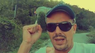 КАК В СОЧИ НАД ИНВАЛИДАМИ ИЗДЕВАЮТСЯ
