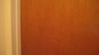 Yuvi's apartment